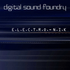 E.L.E.C.T.R.O.N.I.C. Online - House Of Pain - nur als Vinyl erhältlich